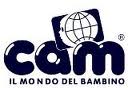 Cam