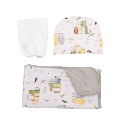 Set lenjerie landou si carucior bebe Kidizi Wiskers – paturica 90x75 cm, cearceaf cu elastic si pernuta, bumbac 100% Oeko-Tex