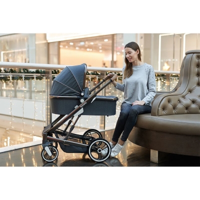 Carucior 2 in 1 Lionelo Mari, Graphite