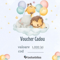 Voucher cadou 1000 lei Bebebliss, idee cadou Baby Shower, Botez, Nou-Nascut