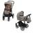 Baby Design - Carucior  2in1 Lupo Comfort Limited Quartz 