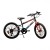 Dino Bikes - Bicicleta serie MTB20''