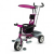 DHS - Tricicleta pentru copii Scooter Plus Violet