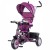 Chipolino - Tricicleta cu sezut reversibil Twister Purple