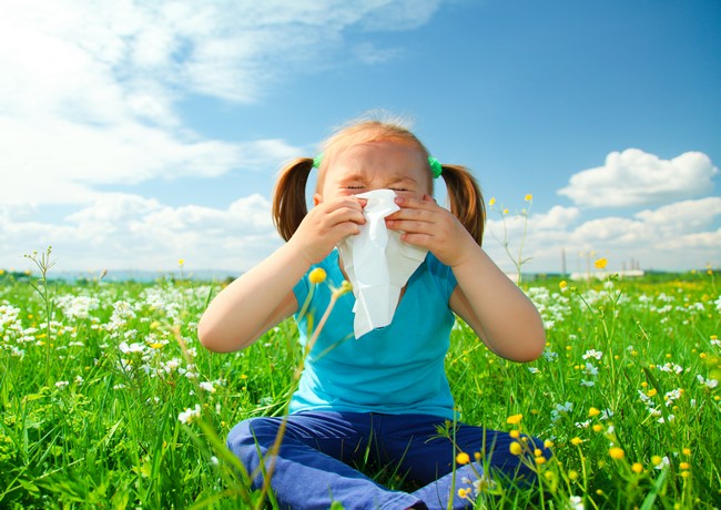 Intrebari frecvente despre alergia de sezon