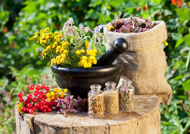 Starea de sanatate si abordarea ei de catre homeopatie