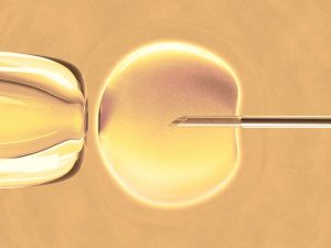 3 aspecte despre fertilizarea in vitro