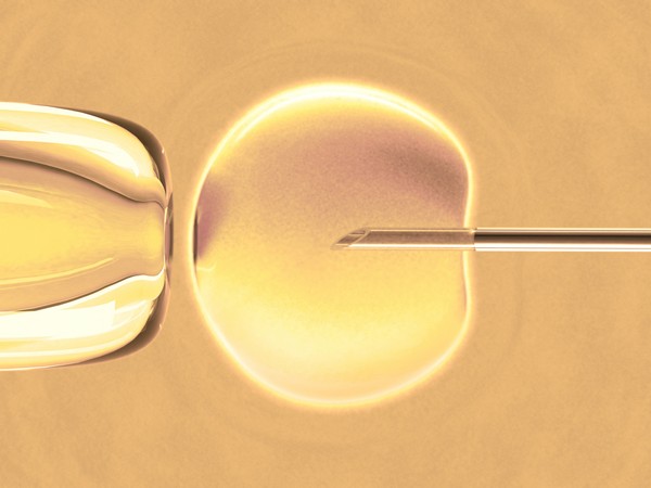 3 aspecte despre fertilizarea in vitro