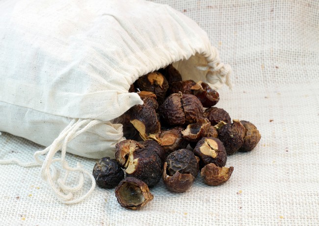 Nucile de sapun - detergentul natural accesibil oricui